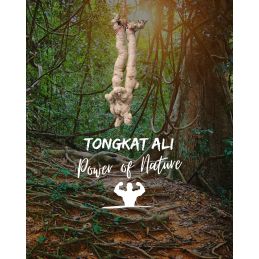 Poster 16" x 20"- Tongkat Ali (Long Jack) - Power of Nature