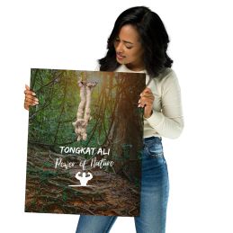 Poster 16" x 20"- Tongkat Ali (Long Jack) - Power of Nature