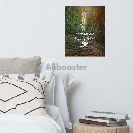 Poster 16" x 20"- Tongkat Ali (Long Jack) - Power of Nature