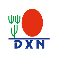 Complément DXN, café DXN, dentifrice, thé, produit à base de champignon