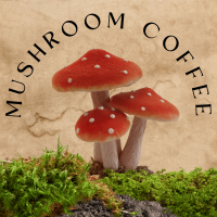 Café mushroom reishi, coffee tongkat ali longjack, detox tea