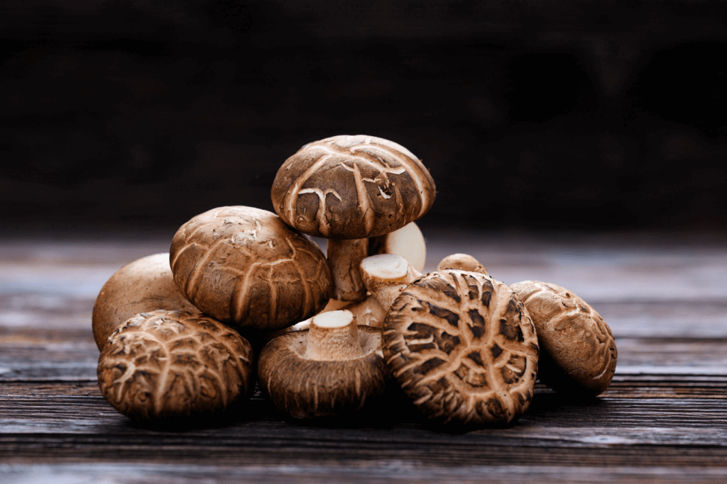 Les bienfaits du Shiitake