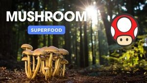 Les compléments alimentaires à base de champignons