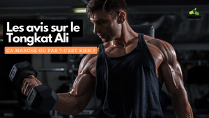 Tongkat ali avis : musculation, libido, testostérone et plus